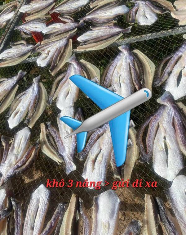 Mua quà Sài Gòn về Hà Nội Khô cá dứa 3 nắng - mua quà Sài Gòn về Hà Nội