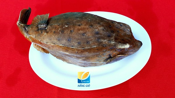 Giá cá bò hòm tươi tại TpHCM