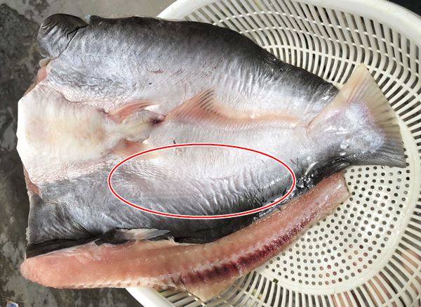 Cách phân biệt khô cá dứa thiên nhiên hàng xịn và cá dứa giả Cách phân biệt khô cá dứa thiên nhiên hàng xịn và cá dứa giả