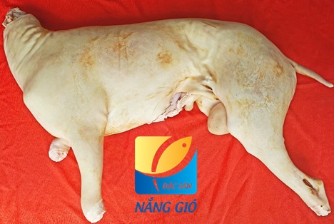Dê nguyên con móc hàm làm sạch