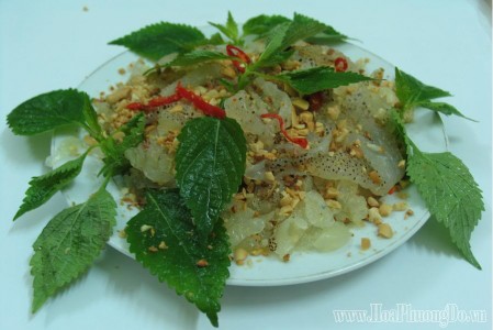 cách chế biến sứa biển