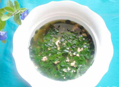 Mua hạt giống cây chùm ngây ở đâu tốt tại TpHCM, Hà Nội