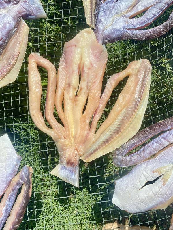 Khô cá dứa 3 nắng - quà biếu tặng dịp Lễ Tết