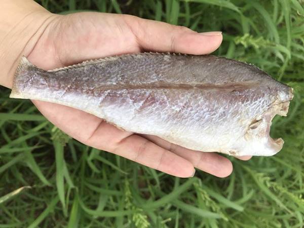 Bán quà tết tặng gia đình, bố mẹ chồng, bố mẹ vợ có ý nghĩa