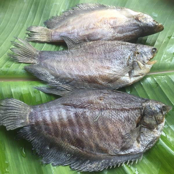 Khô cá sặc - quà biếu tặng dịp cuối năm