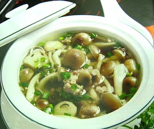 Mua nấm linh chi rừng tự nhiên ở đâu tốt tại TpHCM